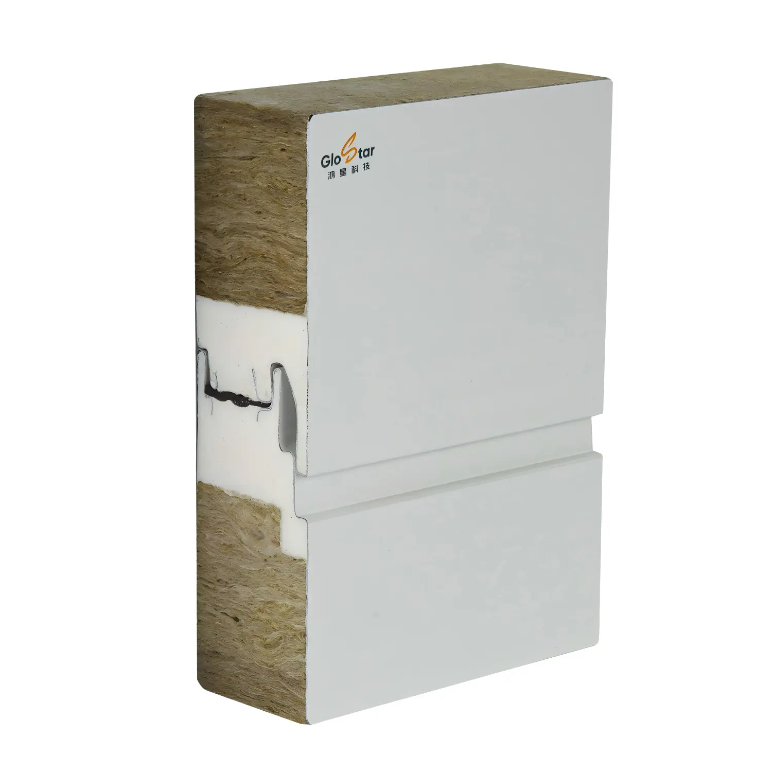 100 mm Sandwich Panel