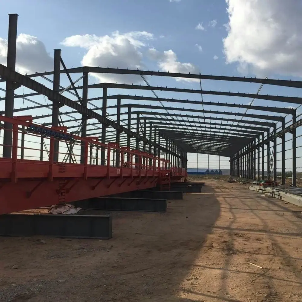 Large Span Steel Structure​