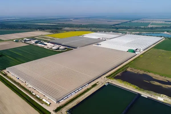 Steel Structure Greenhouse Application