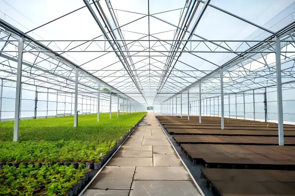Steel Structure Greenhouse Applications