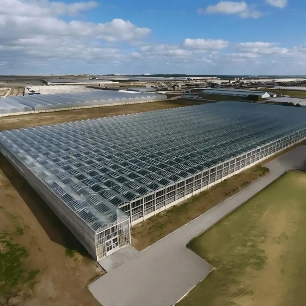Steel Structure Greenhouse China