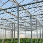 Steel Structure Greenhouse Supplier