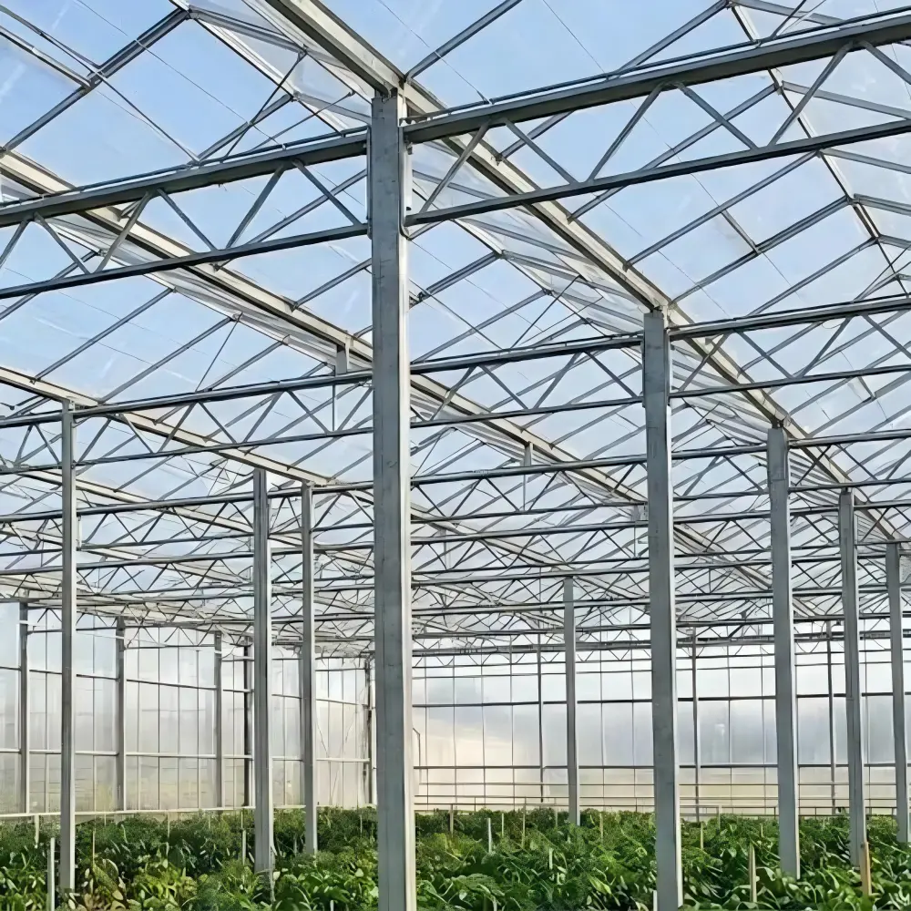 Steel Structure Greenhouse Supplier