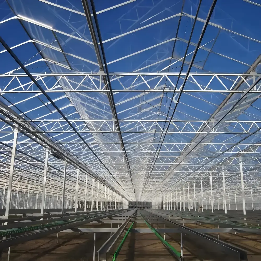 Steel Structure Greenhouse